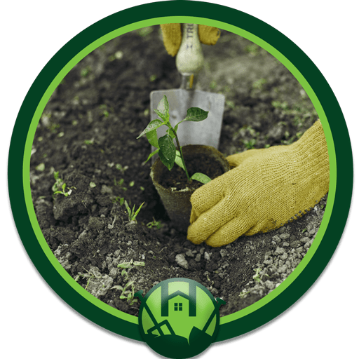 تنسيق حدائق: دليلك الشامل لعمل أجمل حديقة منزلية &ndash; homegardensa.com