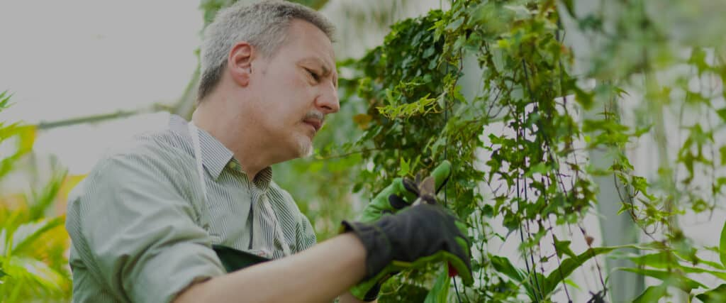 أفضل شركة تنسيق حدائق بالرياض في 2025 &ndash; homegardensa.com