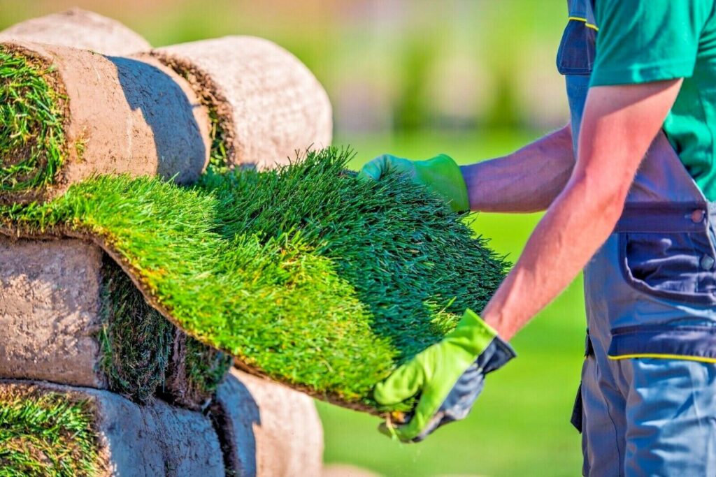 افضل انواع العشب الطبيعي للملاعب دليلك الشامل &ndash; homegardensa.com