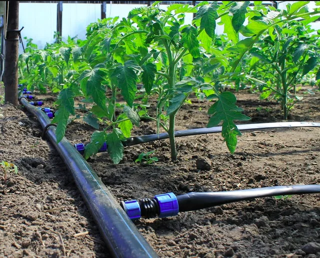 افضل شركة تاسيس و صيانة شبكات الري بالرياض &ndash; homegardensa.com