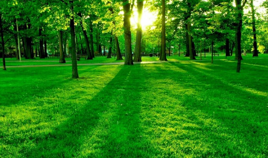 افضل شركة تركيب ثيل طبيعي فى الرياض &ndash; homegardensa.com