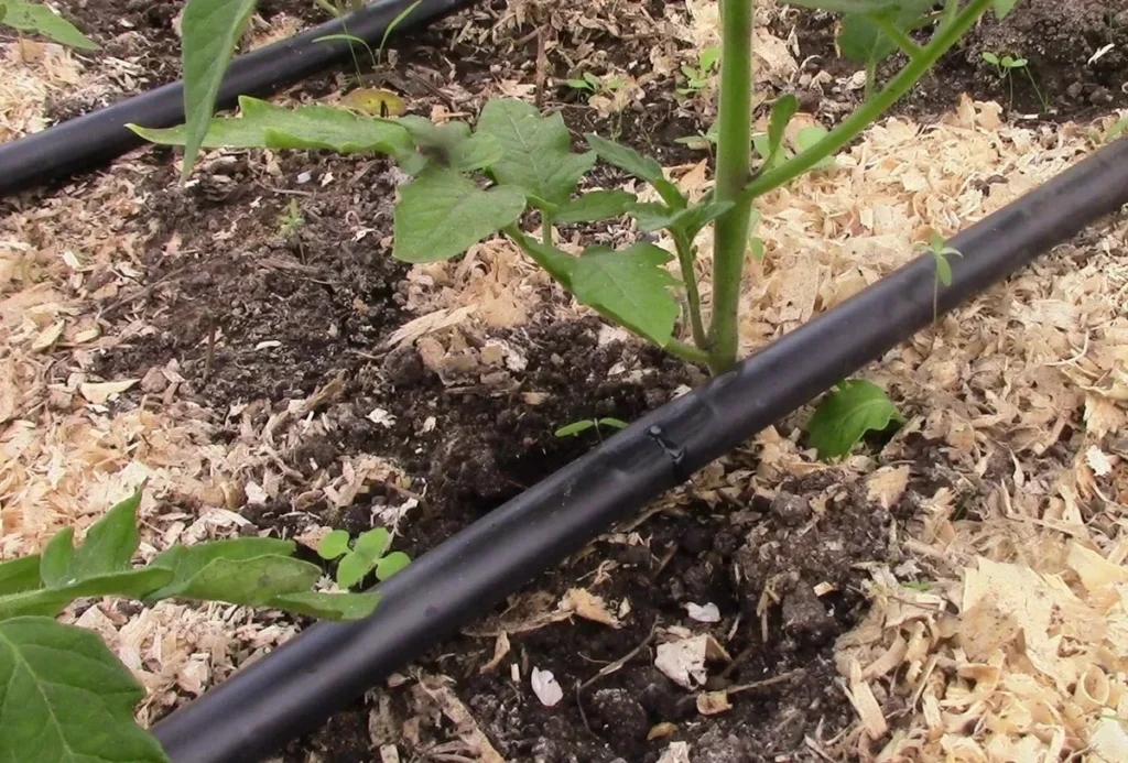 افضل شركة تاسيس و صيانة شبكات الري بالرياض &ndash; homegardensa.com