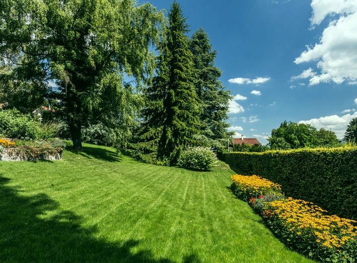 افضل شركة تركيب ثيل طبيعي فى الرياض &ndash; homegardensa.com