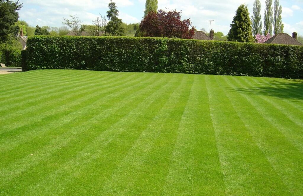 تصميم وتركيب عشب الحدائق فى الرياض &ndash; homegardensa.com