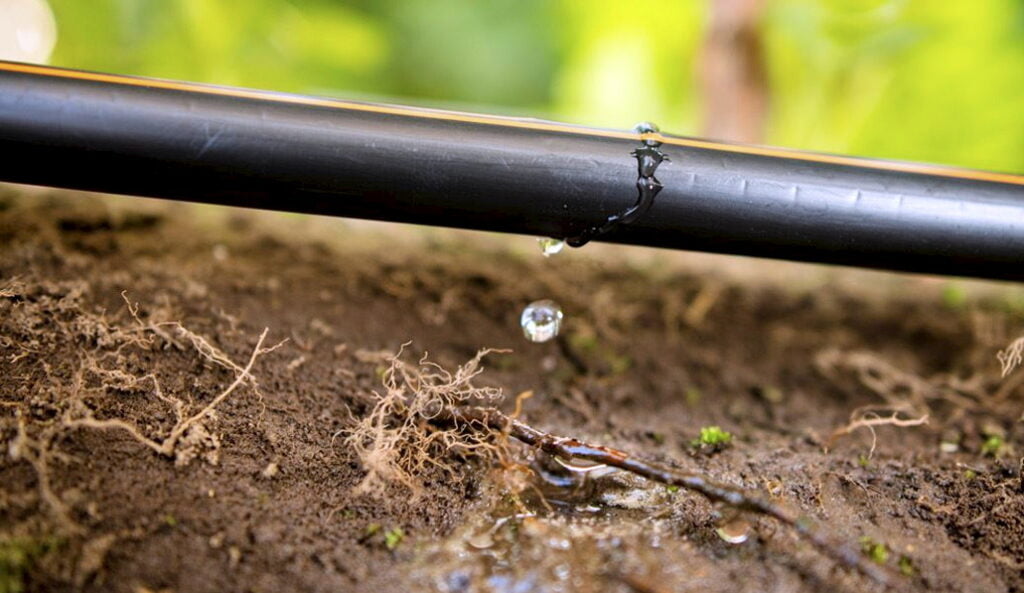 شركة تصميم شبكات الري بالفقاعات في الرياض &ndash; homegardensa.com