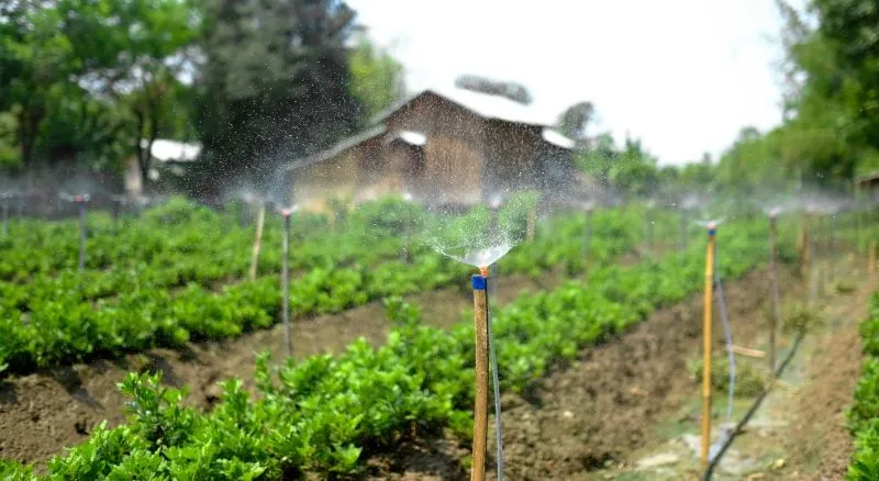 شركة تصميم شبكات الري بالفقاعات في الرياض &ndash; homegardensa.com