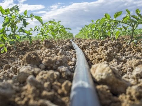 كيفية تركيب شبكة الرى بالتنقيط؟ &ndash; homegardensa.com