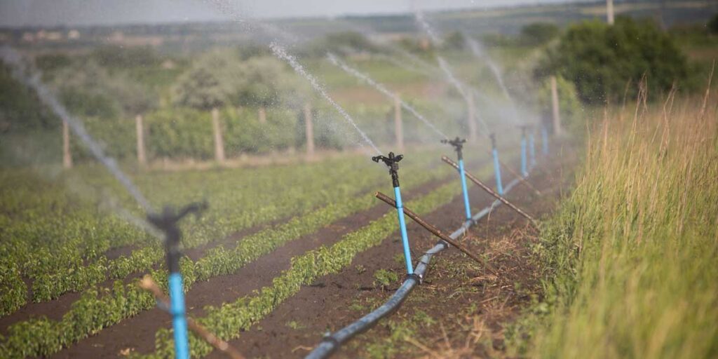 شركة تصميم شبكات الري بالفقاعات في الرياض &ndash; homegardensa.com