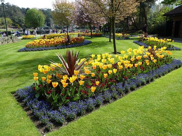 اجعل "النباتات الطبيعية" جزءًا من ديكور منزلك وعش حياة أكثر هناء وصحة! &ndash; homegardensa.com