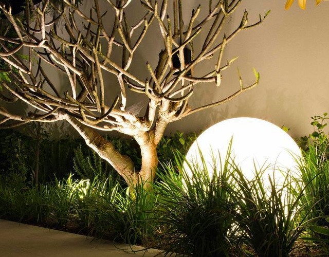 تعرف على سر جمال الطبيعة: "اشجار مضيئة" تحول حدائقك إلى عالم ساحر! &ndash; homegardensa.com