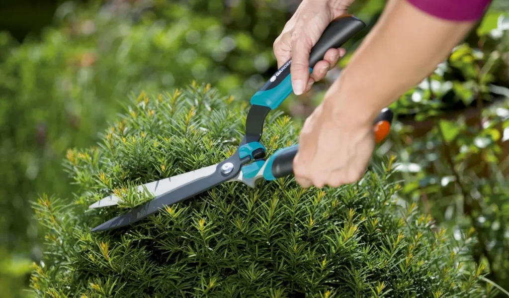 مهندس تنسيق حدائق: الفنان الذي يخلق لوحات خلابة بالنباتات والألوان &ndash; homegardensa.com