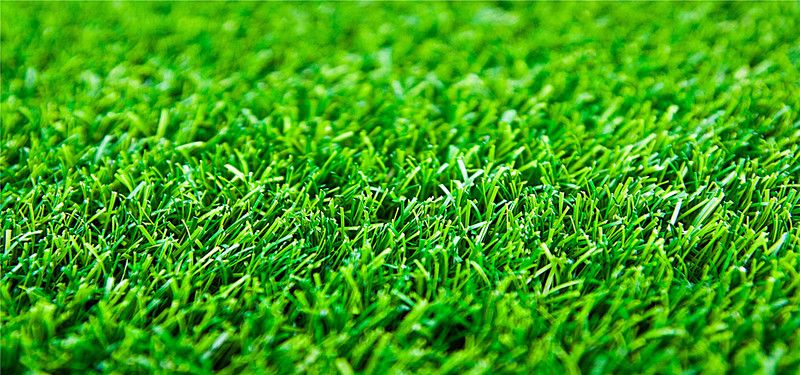 استمتع بالراحة"الثيل الامريكي" الذي يضفي جوًا من الطبيعة البرية على حديقتك! 5 استمتع بالراحة"الثيل الامريكي" الذي يضفي جوًا من الطبيعة البرية على حديقتك! – homegardensa.com