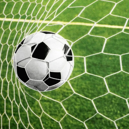 أفضل ١٠ تصاميم مواصفات شبك الملاعب تلهمك لإنشاء ملعبك الخاص &ndash; homegardensa.com