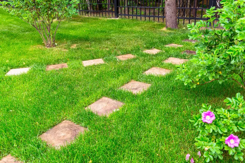 سعر متر العشب الطبيعي: كيفية تحديد الخيار الأنسب لميزانيتك &ndash; homegardensa.com