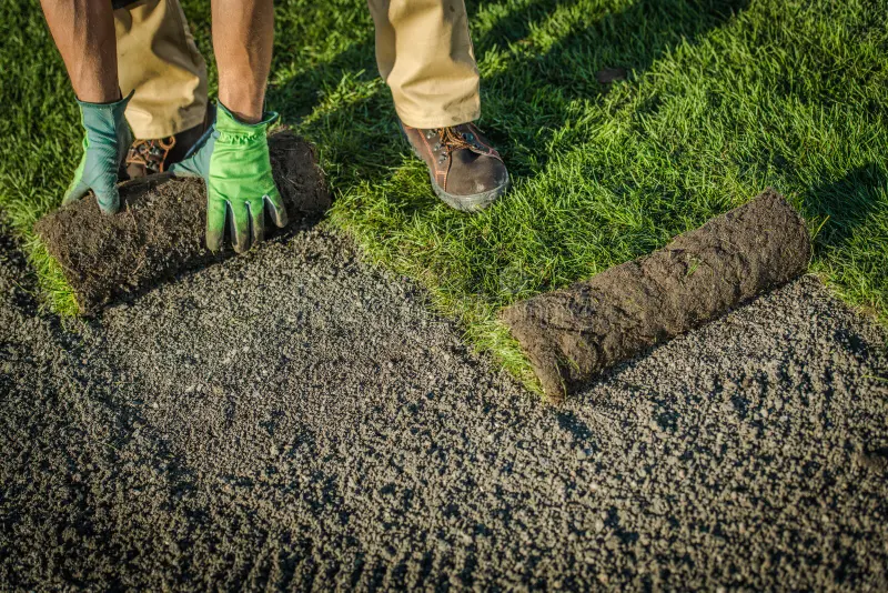 أخطاء شائعة في تركيب عشب طبيعي وكيفية تجنبها &ndash; homegardensa.com