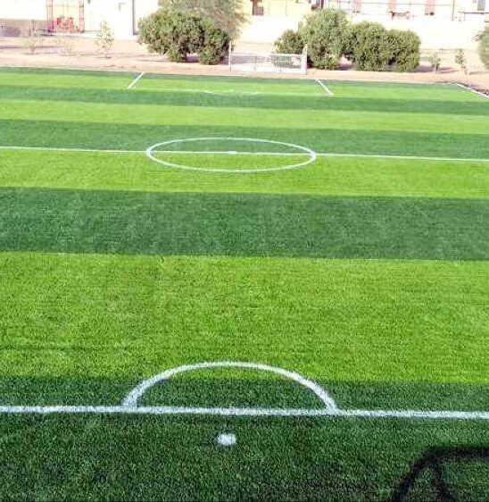 سعر متر العشب الطبيعي