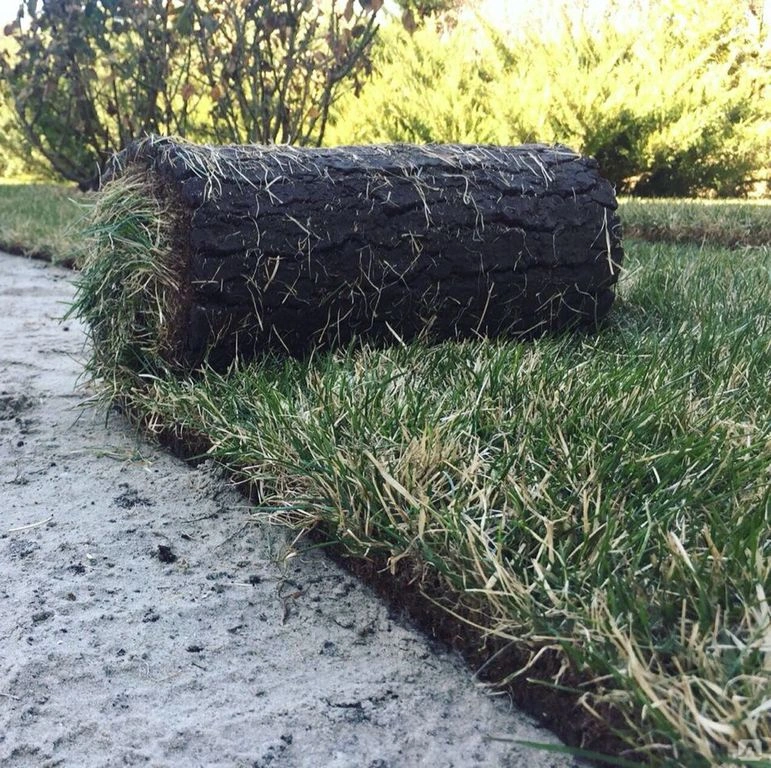 ثيل سي 2000: الحل الذكي لتحديات الزراعة في بيئة الرياض الصحراوية &ndash; homegardensa.com