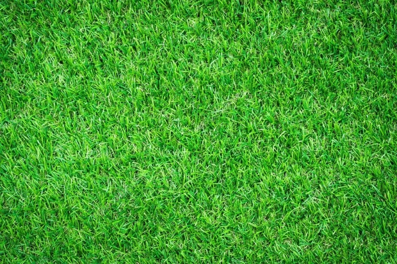 الثيل الصناعي على التراب: دليل شامل للتركيب والصيانة &ndash; homegardensa.com