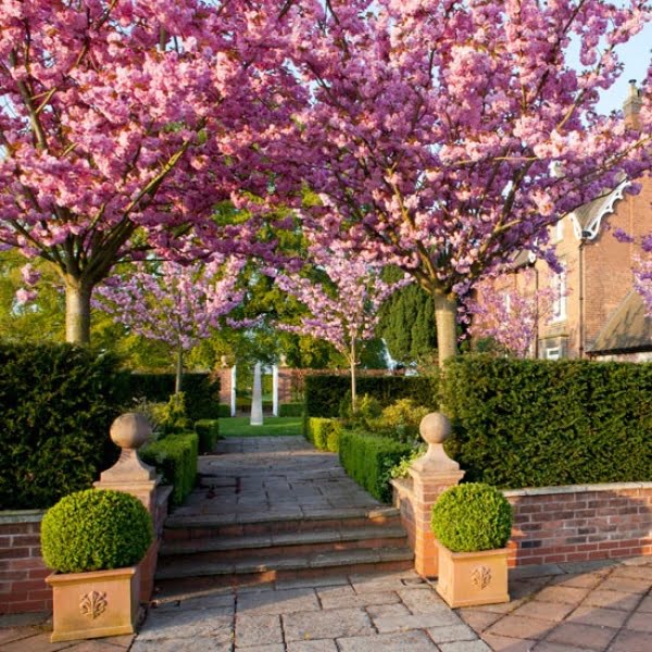 بديل الخشب &ndash; homegardensa.com