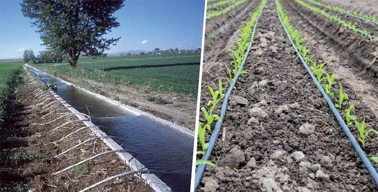 Irrigation Network Installation Service 4 Irrigation Network Installation Service – homegardensa.com