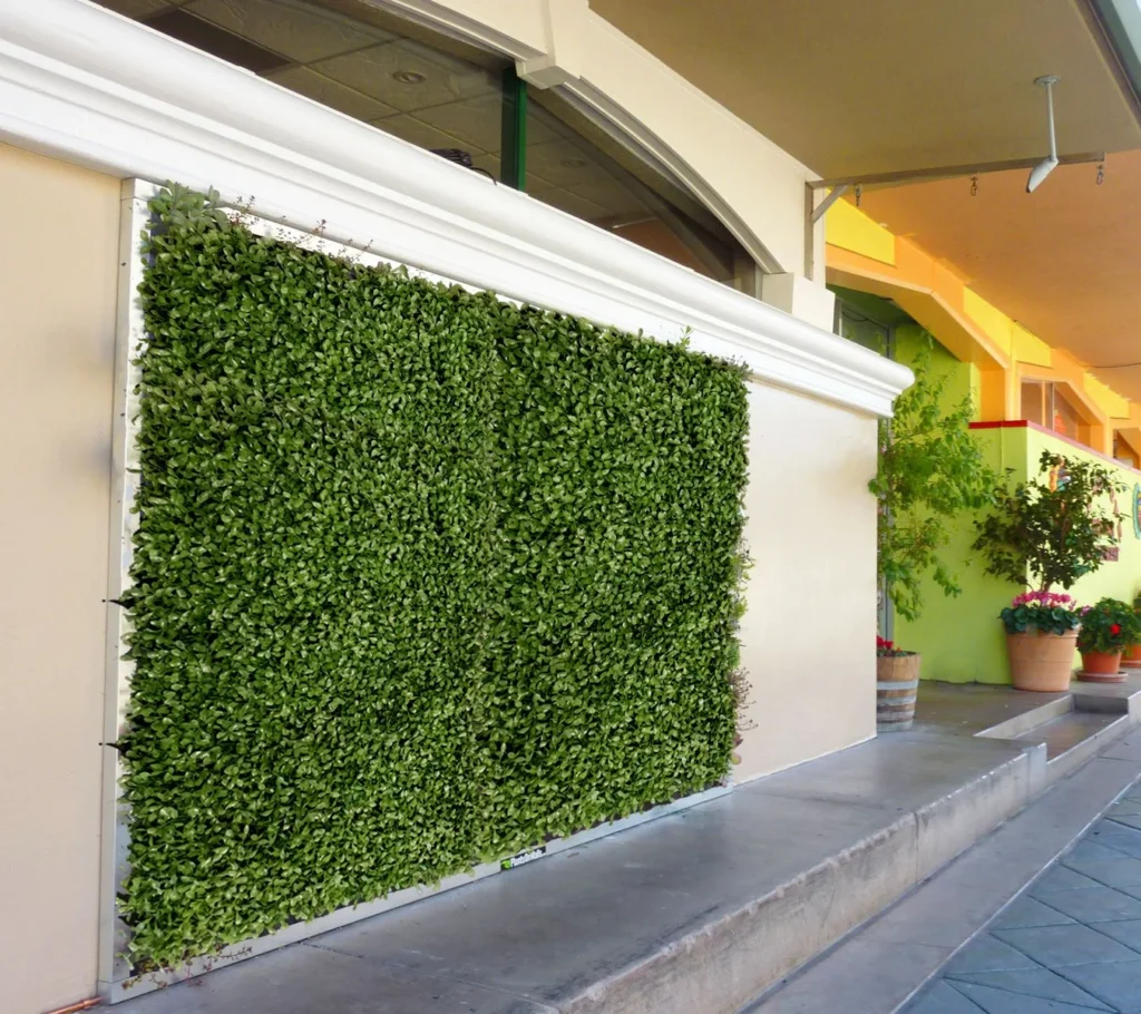 عشب جداري 9 عشب جداري – homegardensa.com