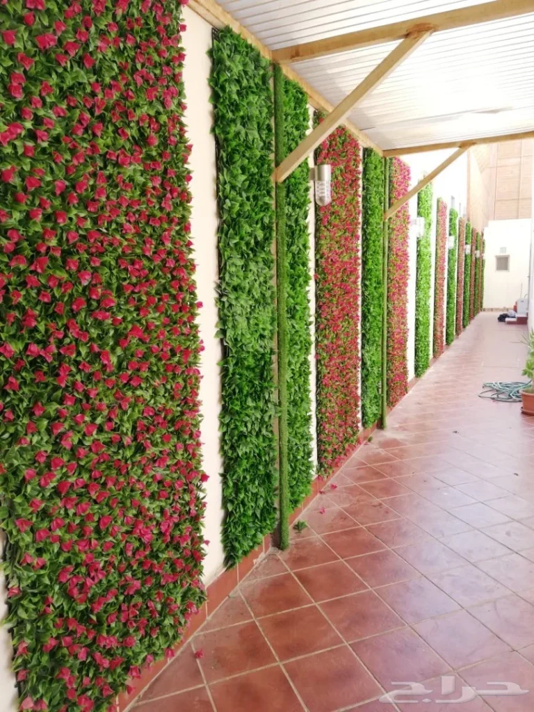 عشب جداري 2 عشب جداري – homegardensa.com