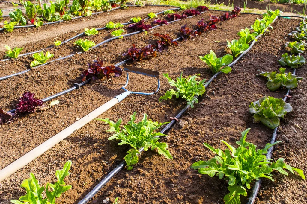 كيف تختار أفضل انواع من شبكات الري الزراعية بالرياض؟ 2 كيف تختار أفضل انواع من شبكات الري الزراعية بالرياض؟ – homegardensa.com