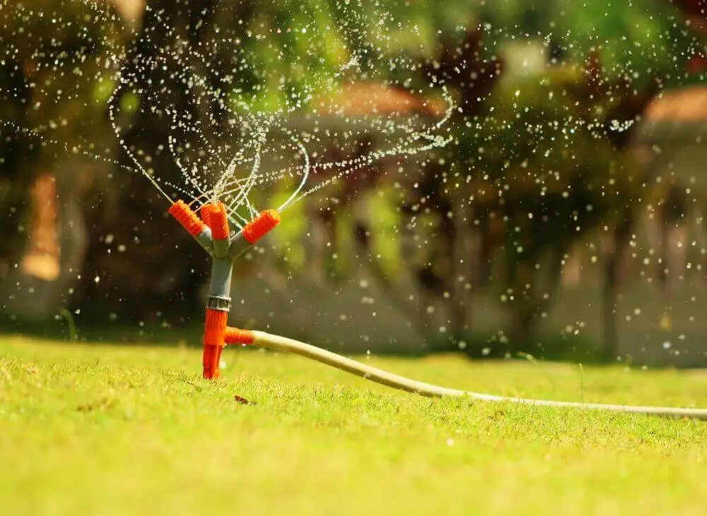 Bubbler Irrigation