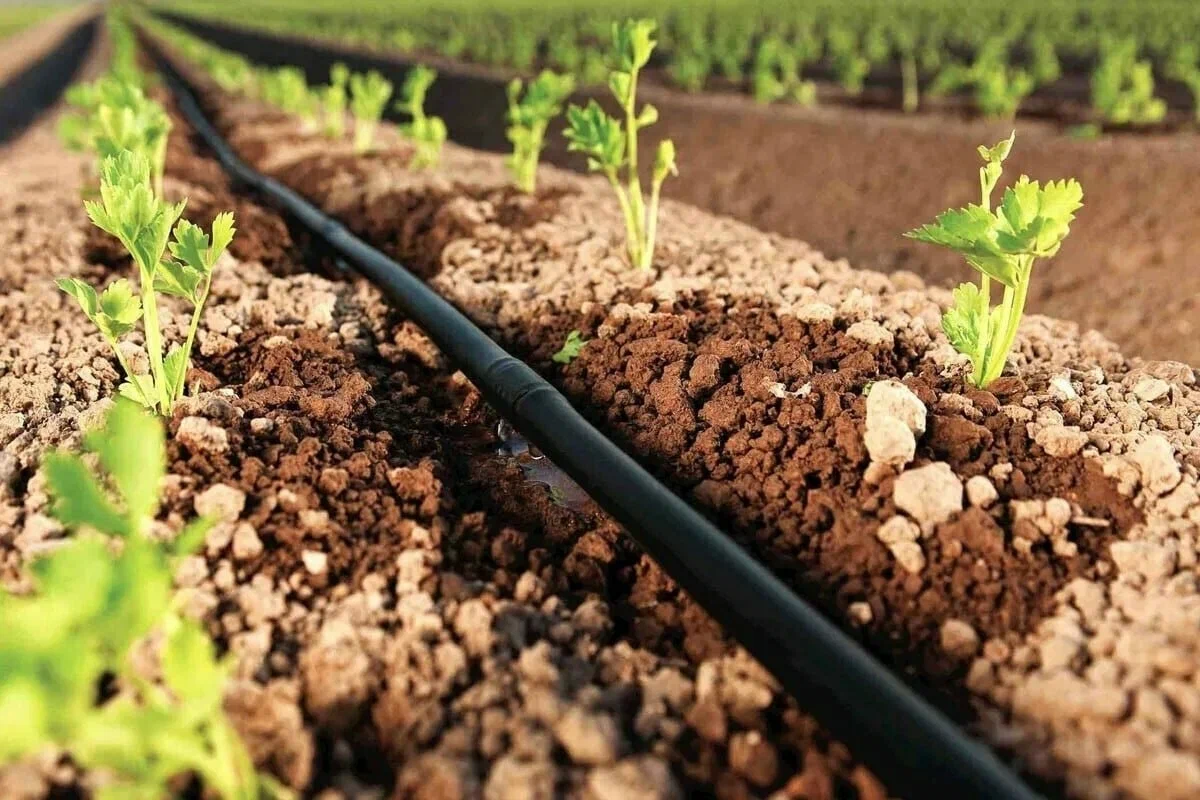 Drip Irrigation Systems