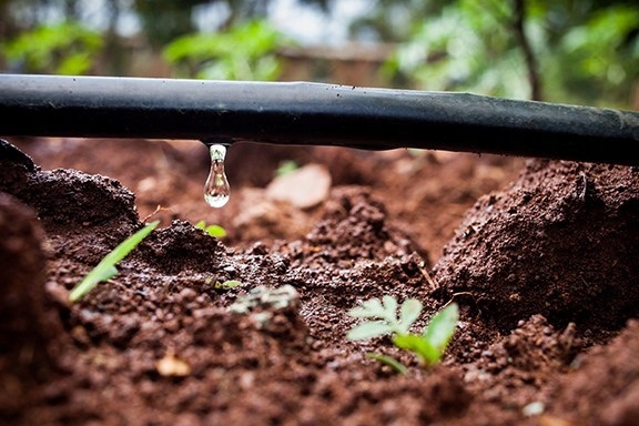 Transform Your Garden with the Best Drip Irrigation Systems in Riyadh 2 drip irrigation system