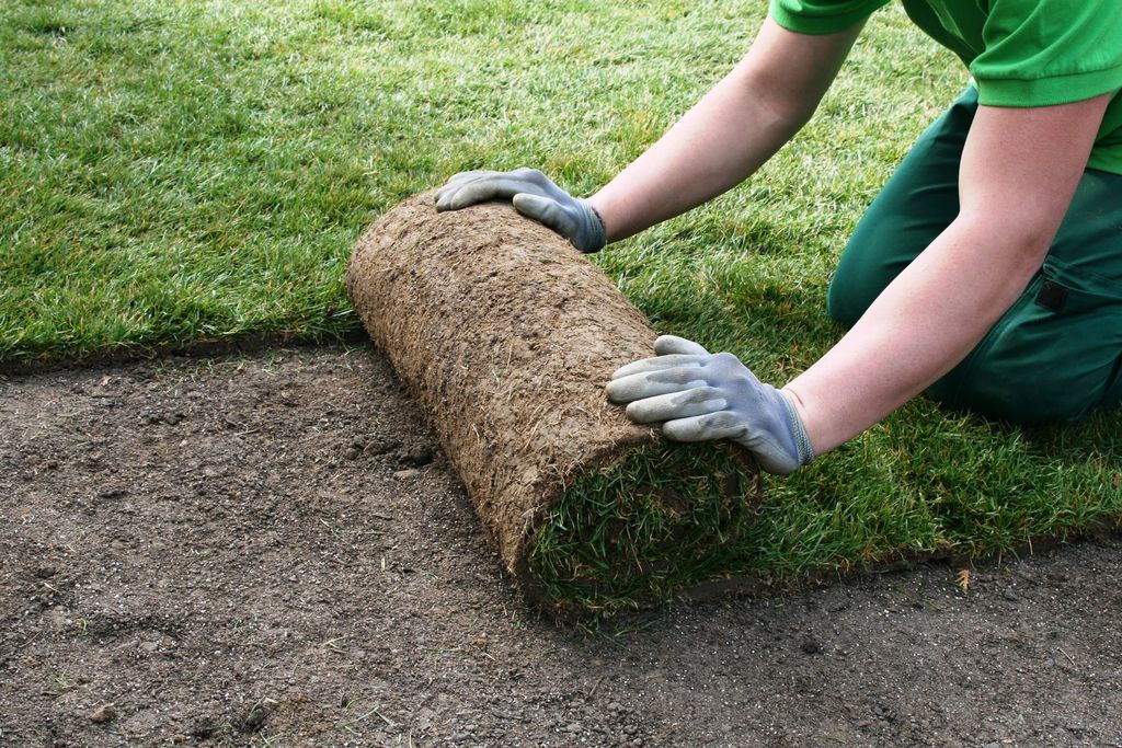 Artificial Grass in Riyadh is the Future of Landscaping &ndash; homegardensa.com