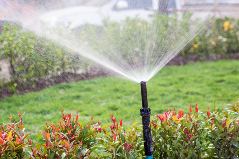 bubbler irrigation