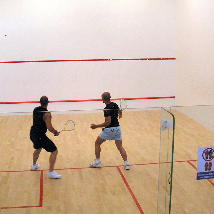 أحدث تصميمات ملاعب اسكواش بالرياض 6 أحدث تصميمات ملاعب اسكواش بالرياض – homegardensa.com