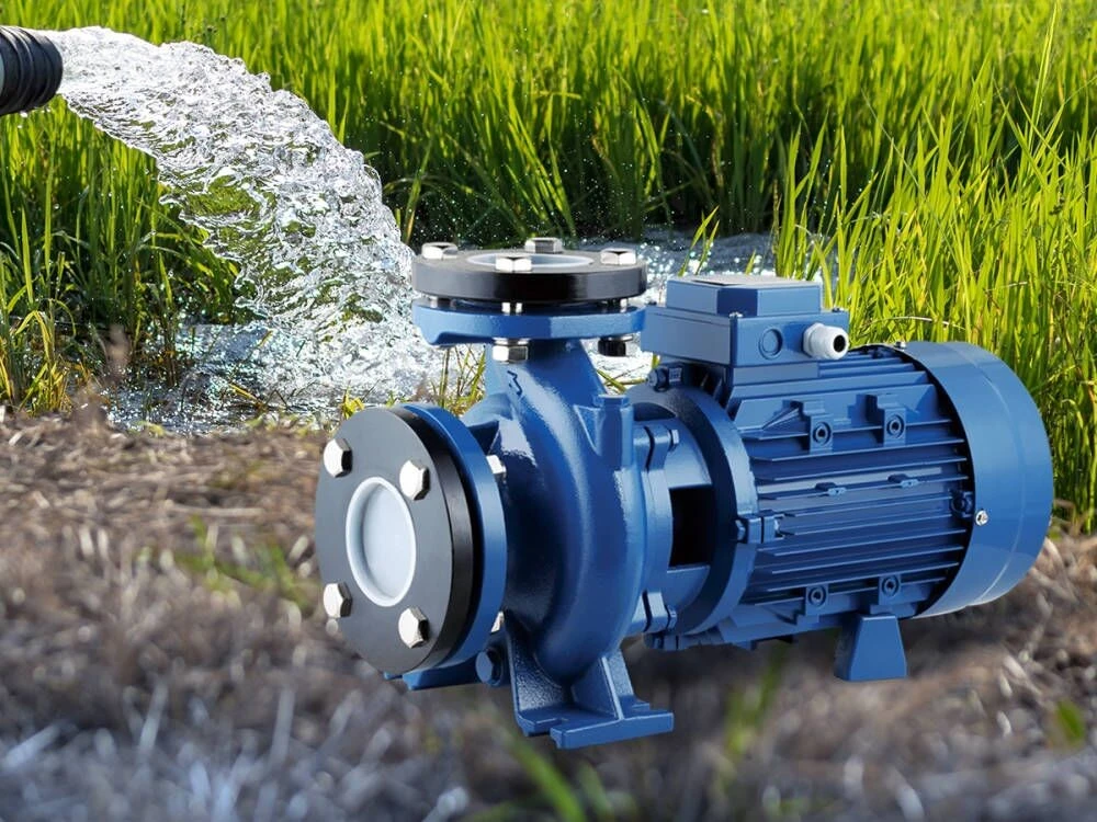 Stop Wasting Water Smart Irrigation Pump Solutions for Riyadh 4 irrigation pump