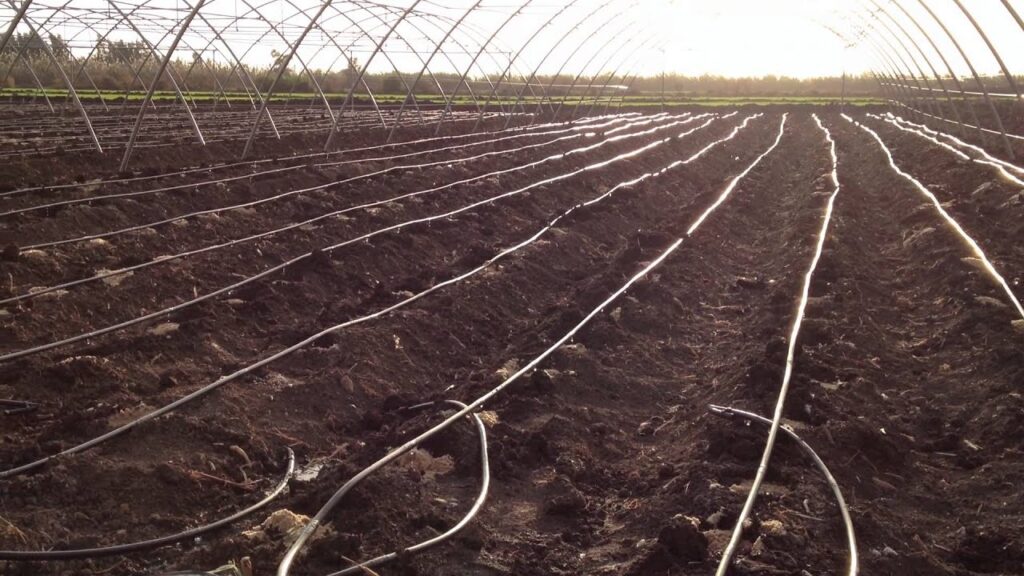 كيف تختار أفضل انواع من شبكات الري الزراعية بالرياض؟ 7 كيف تختار أفضل انواع من شبكات الري الزراعية بالرياض؟ – homegardensa.com