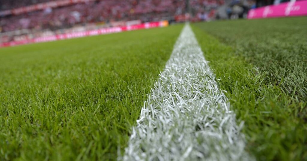 زراعة عشب الملاعب بالرياض: دليل شامل لاختيار الأنسب &ndash; homegardensa.com