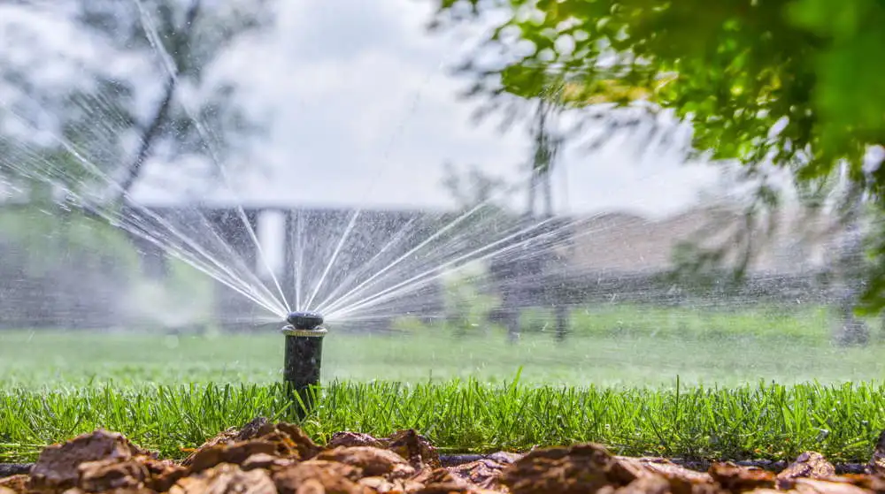 sprinkler irrigation