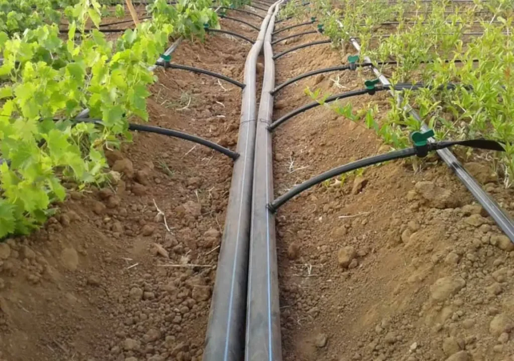  مقارنة بين الري بالغمر والري بالرش والري بالتنقيط: المميزات والعيوب &ndash; homegardensa.com