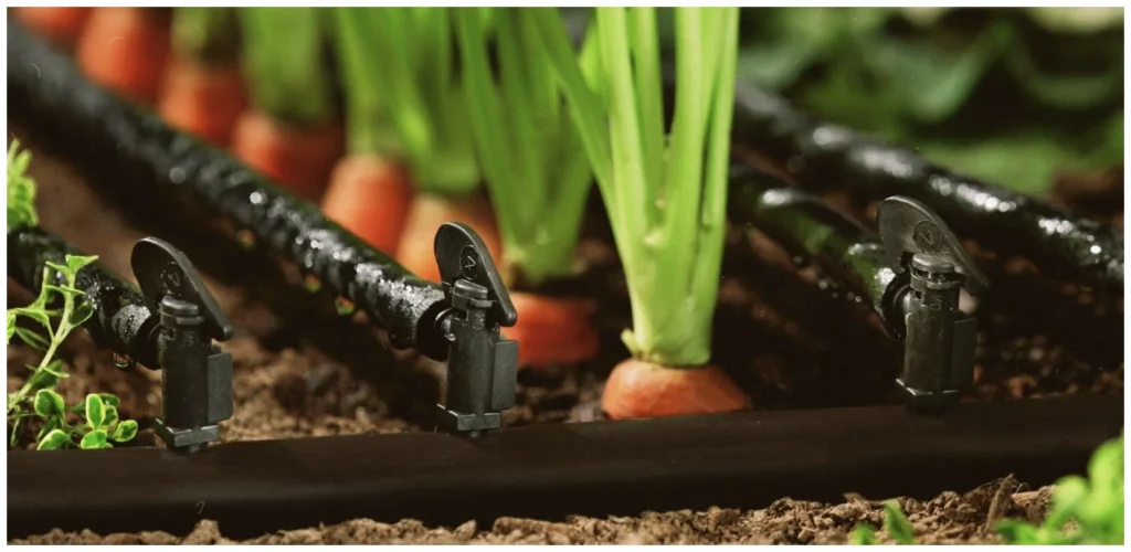  مقارنة بين الري بالغمر والري بالرش والري بالتنقيط: المميزات والعيوب &ndash; homegardensa.com