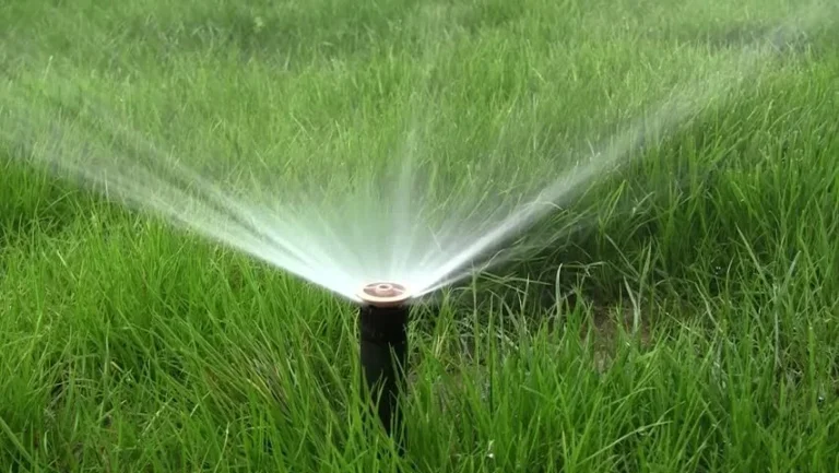 انواع الرشاشات المستخدمة في الري بالرش