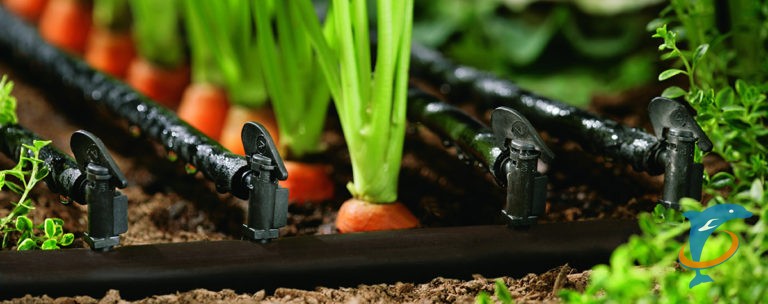 أفضل شركات تمديد شبكات الري في الرياض: مقارنة شاملة 2 تمديد شبكات الري