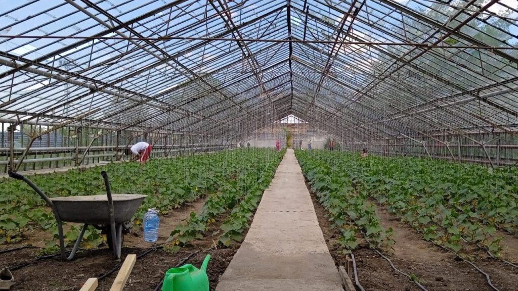 تصميم وتنفيذ أنظمة شبكات ري المزارع في الرياض: خطوة بخطوة &ndash; homegardensa.com