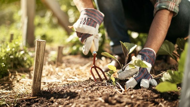 Gardening and Landscaping Services in riyadh &ndash; homegardensa.com