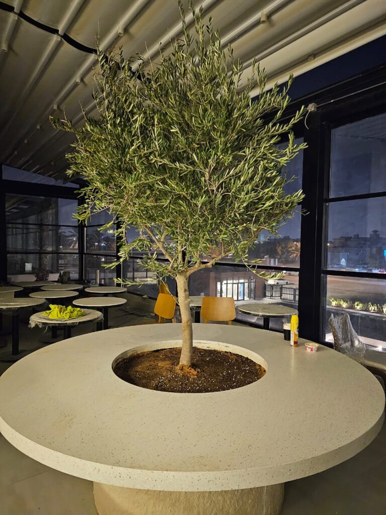 احواض زراعه 16 احواض زراعه – homegardensa.com