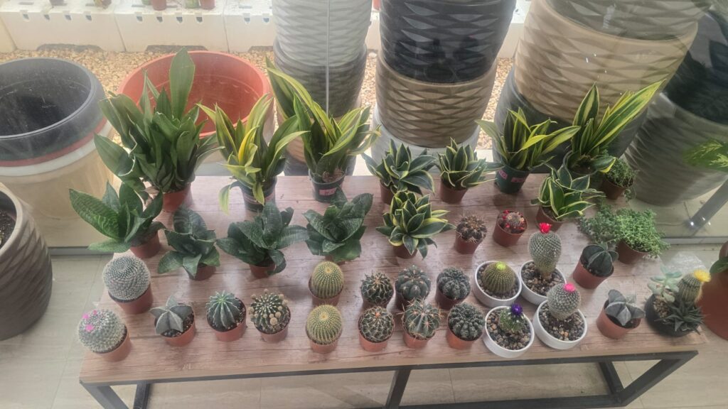 احواض زراعه 17 احواض زراعه – homegardensa.com