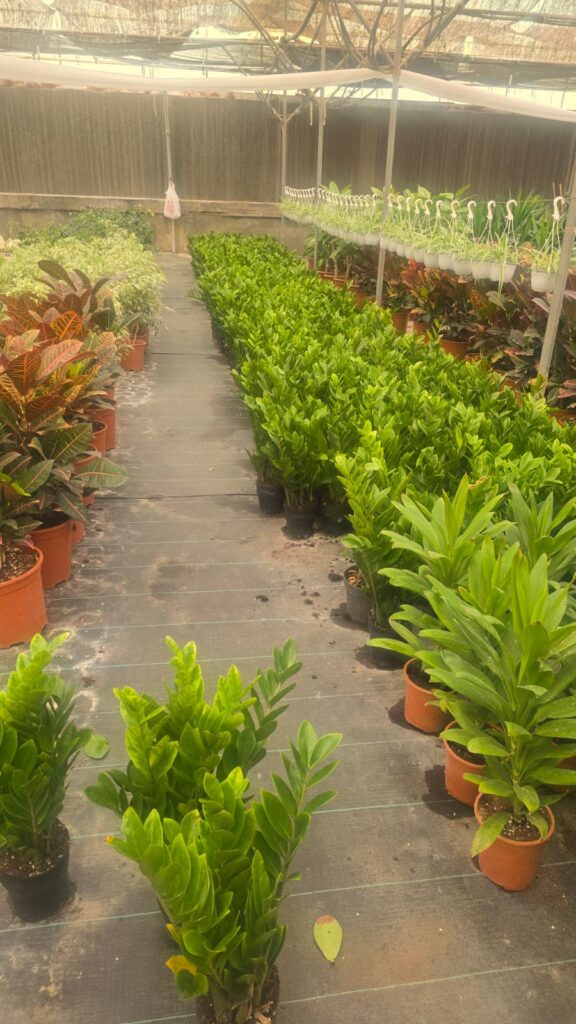 احواض زراعه 19 احواض زراعه – homegardensa.com