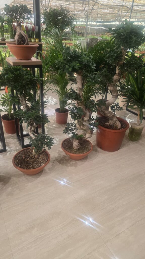 احواض زراعه 20 احواض زراعه – homegardensa.com