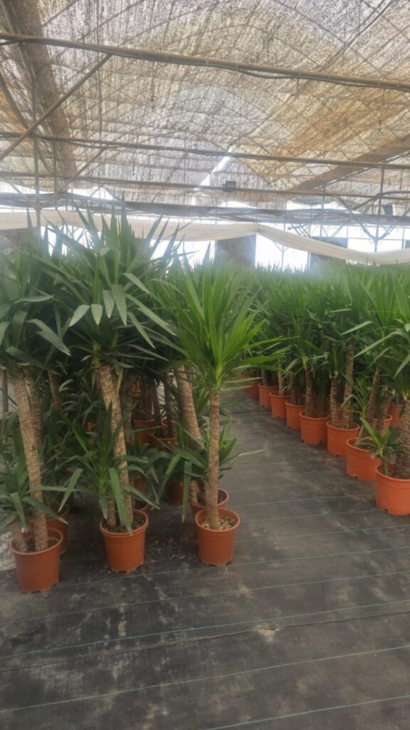 احواض زراعه 3 احواض زراعه – homegardensa.com