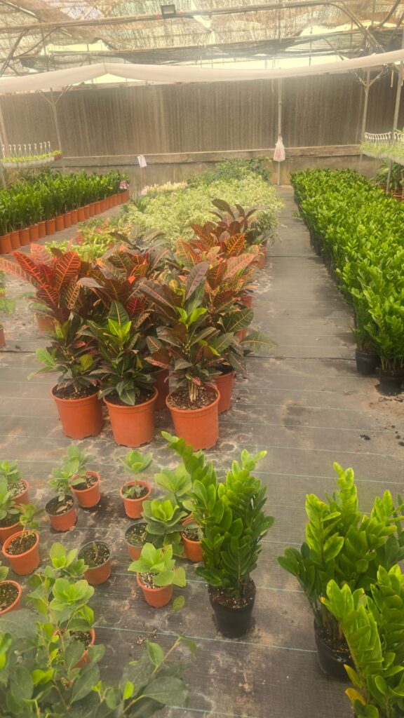 احواض زراعه 6 احواض زراعه – homegardensa.com