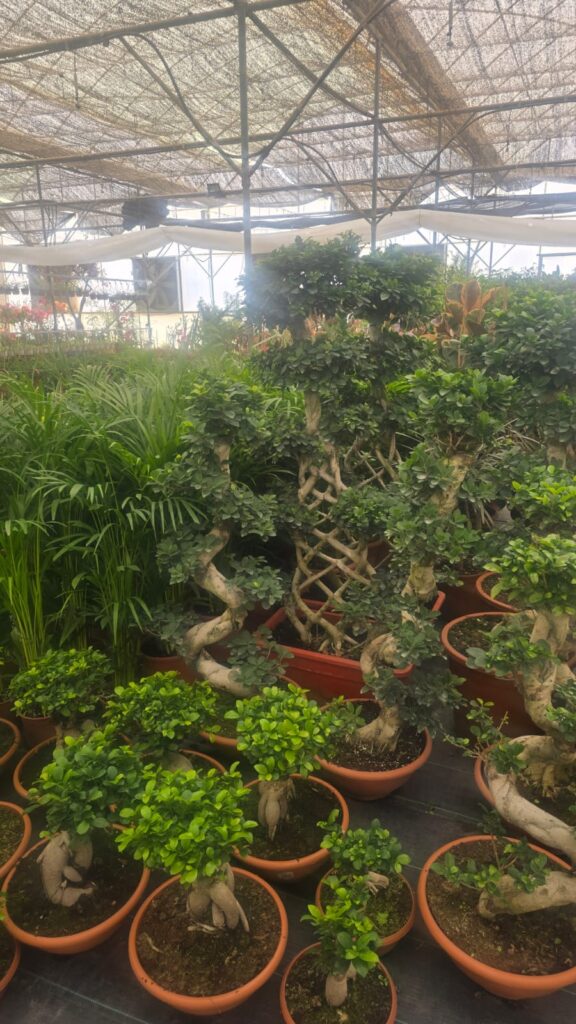 احواض زراعه 10 احواض زراعه – homegardensa.com